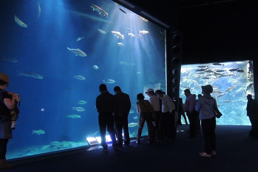 千歳水族館